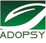 Adopsy