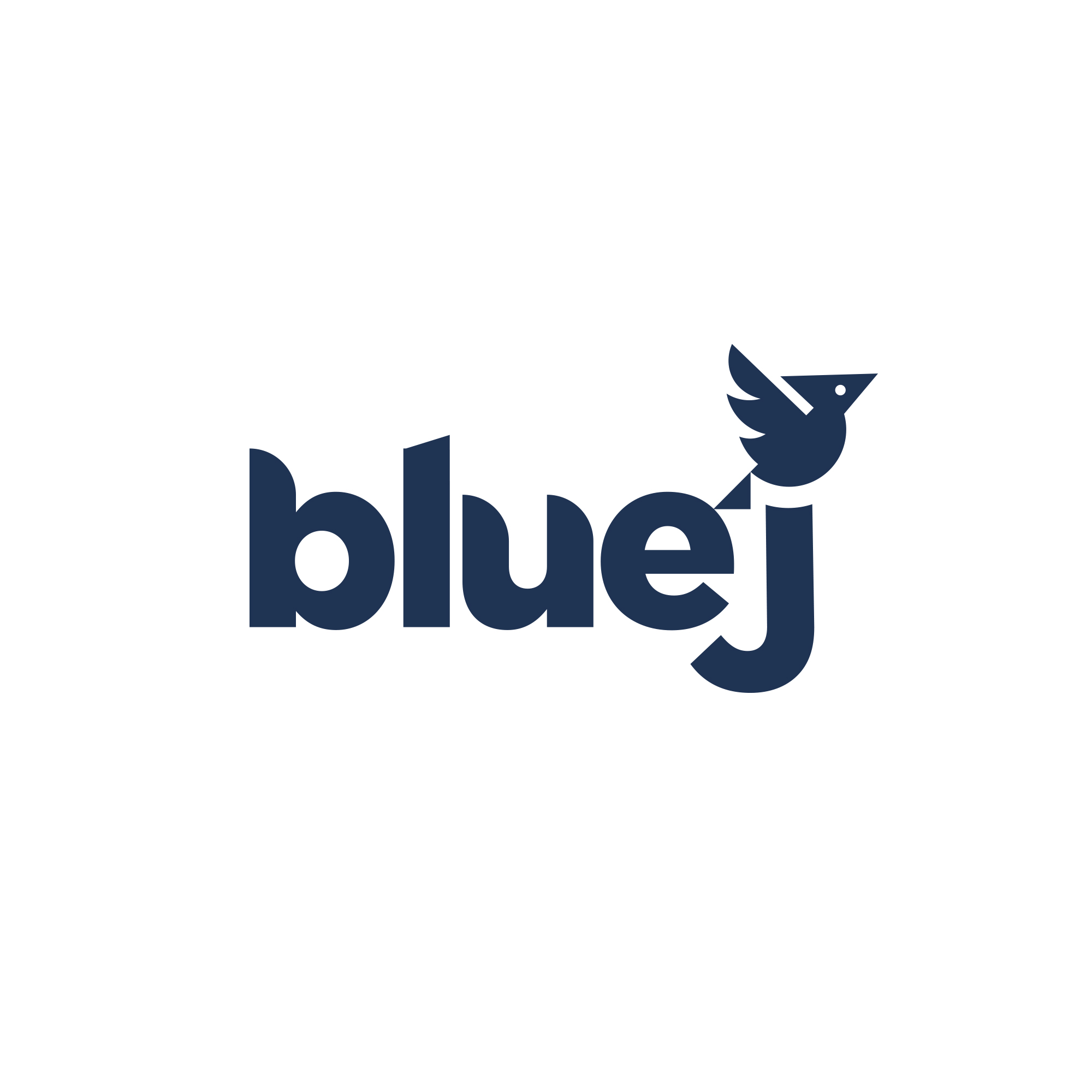 BlueJ