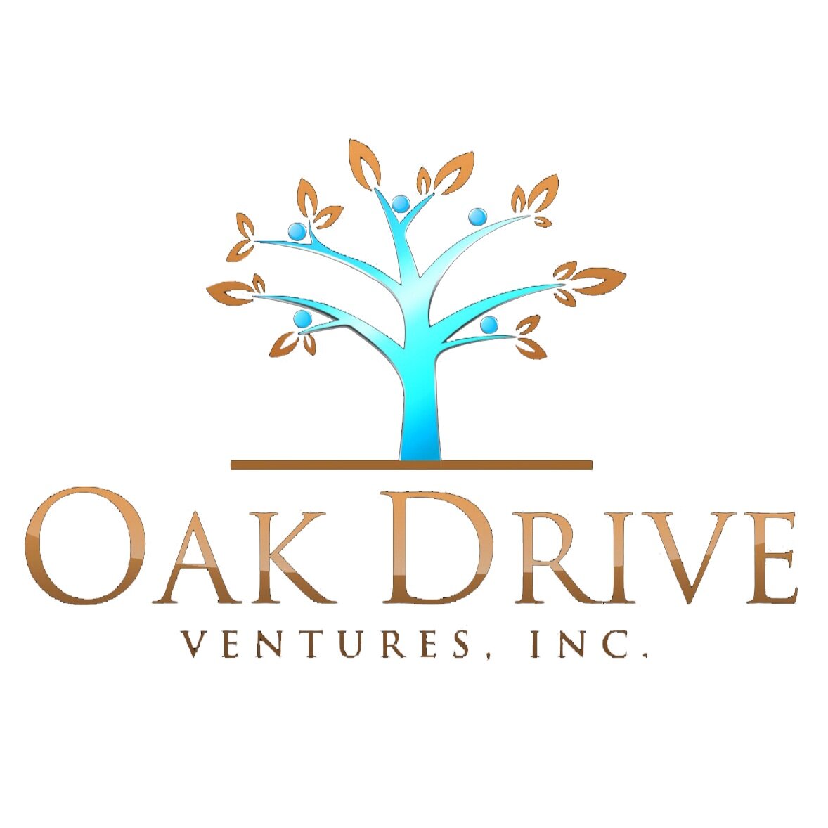 Oak Drive ventures