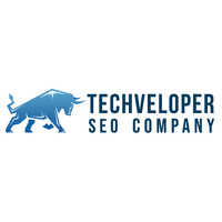 Techveloper SEO Company