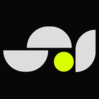 Stellar James Management