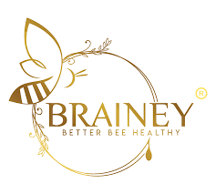 Brainey Sdn Bhd