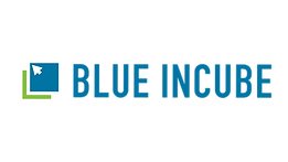 Blue InCube Ventures