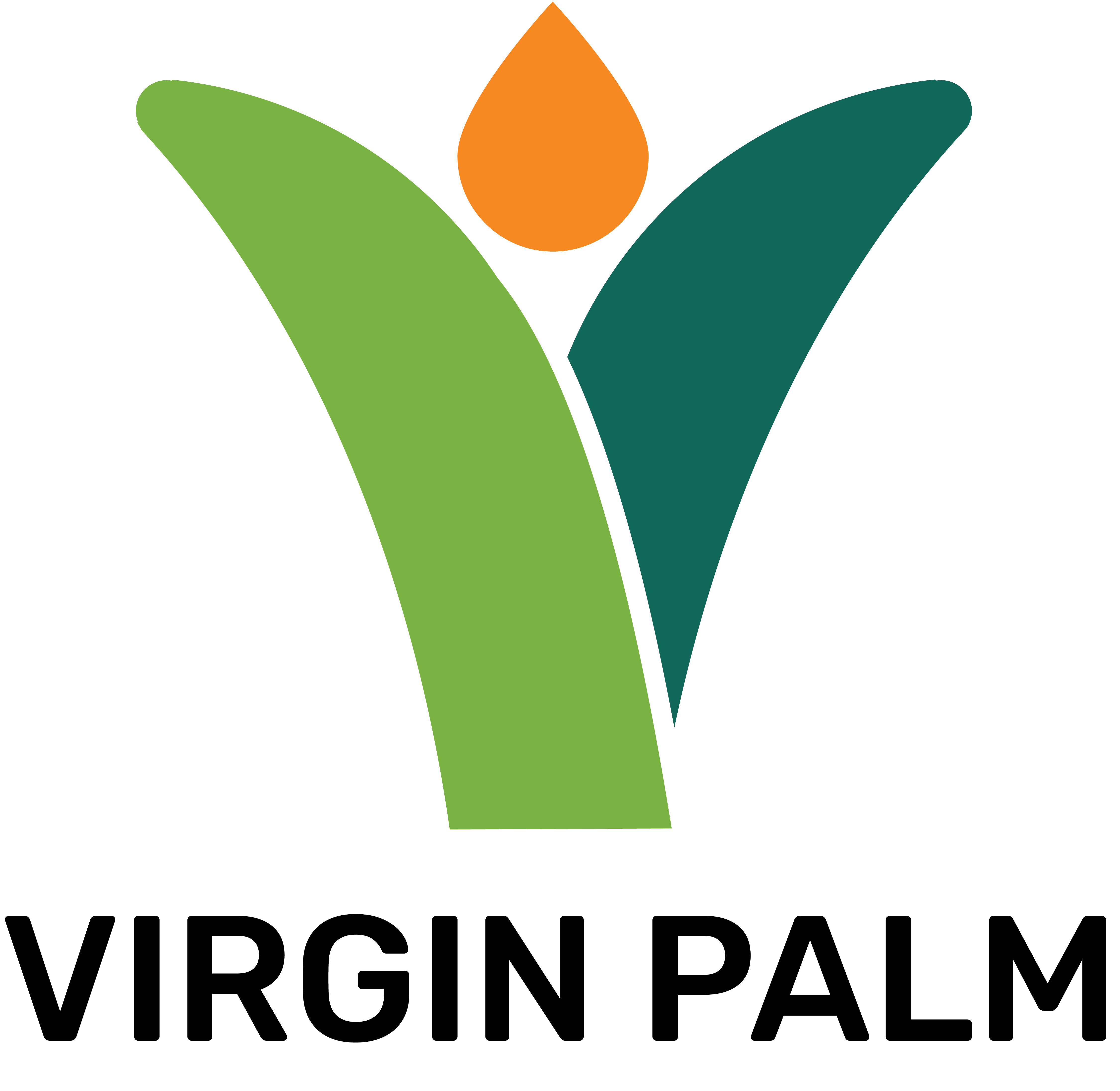 Virgin Palm