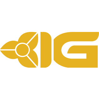 IG Tech Group