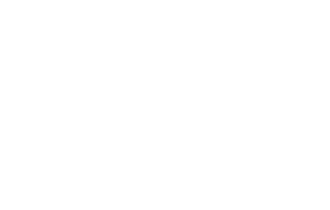 Aestus Capital