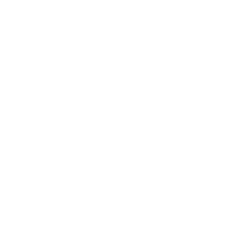 Nalu Capital