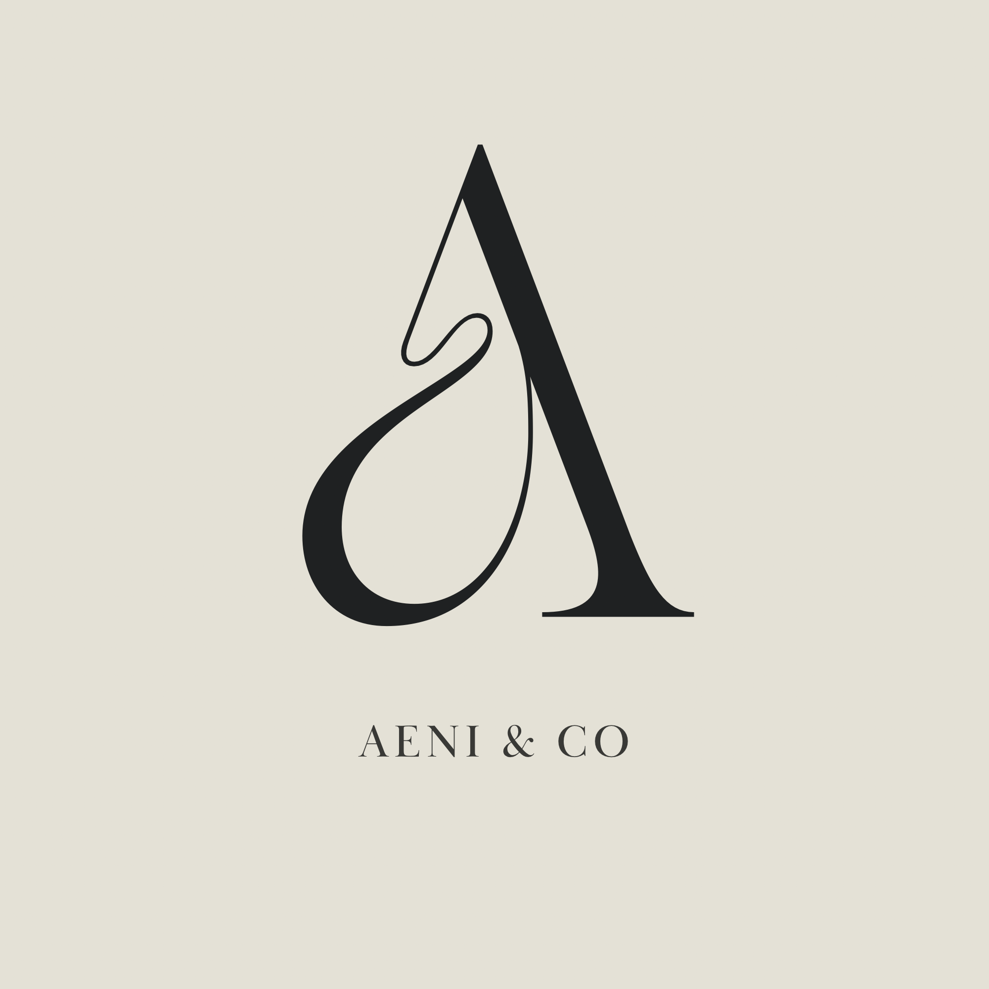 Aeni Enterprises