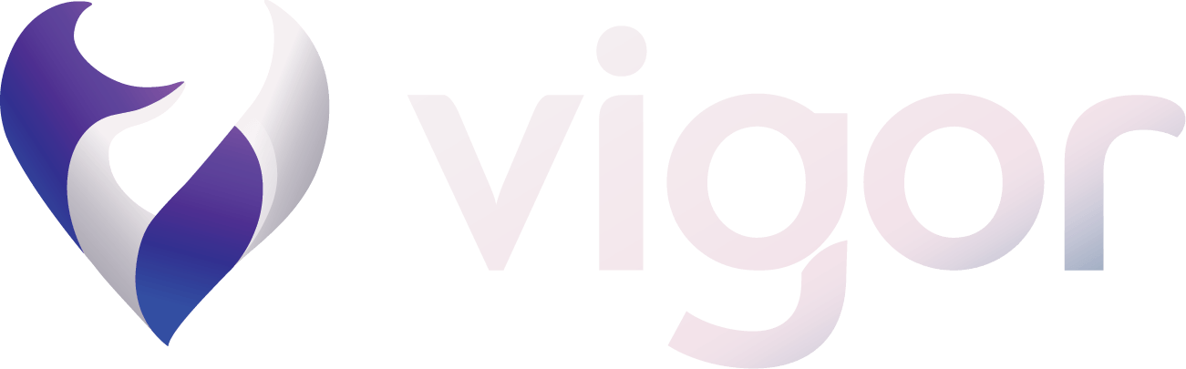 Vigor Digital Solutions Sdn Bhd